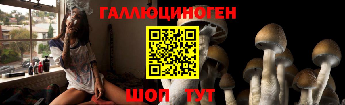 Галлюциногенные грибы GOLDEN TEACHER  Вход с VPN  Качканар 